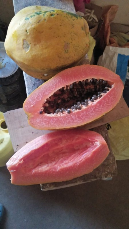 PAWPAWS from Kenya